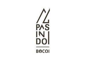 4-PAS-IN-DOI-BOCOI_LOGO